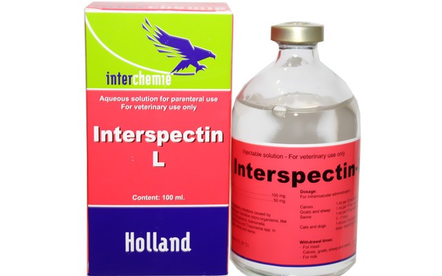 Интерспектин-L (100мг/мл спектиномицин/50мг/мл линкомицин), 100мл 